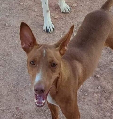 TOFU 300 27620 Gasny