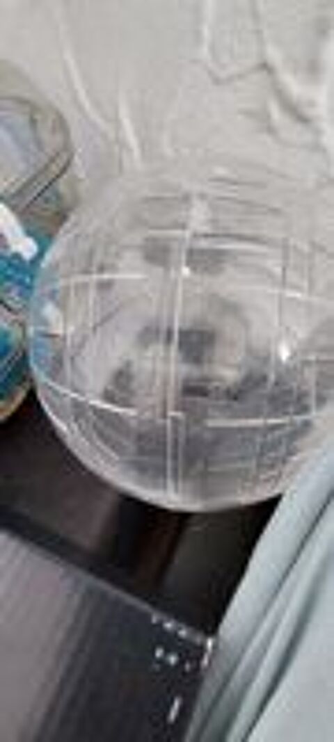   hamster ,  donner toutes les accessoires 