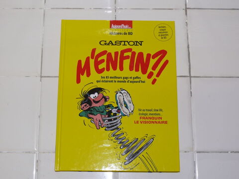 BD :  Gaston  10 Saintes (17)