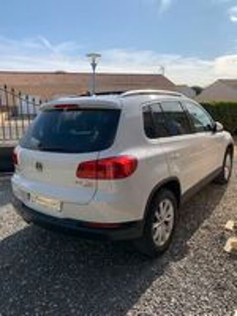 Tiguan 2.0 TDI 140 FAP BlueMotion Technology Carat 2012 occasion 85150 Vair&eacute;