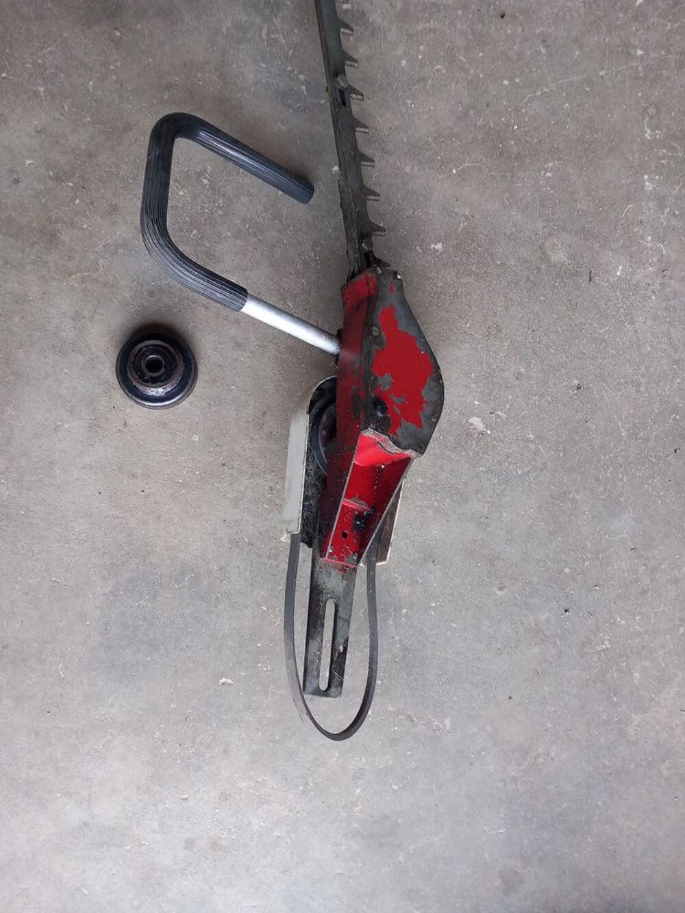 taille haie Bricolage