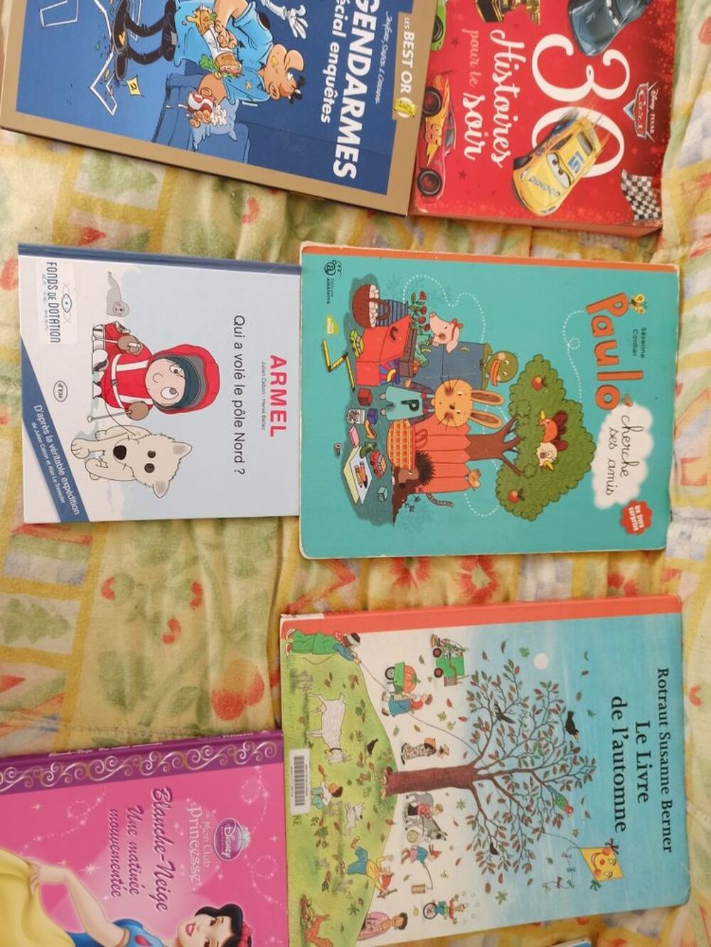divers livres Livres et BD