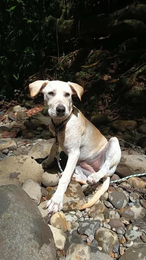 Sunka la joueuse 300 28100 Dreux