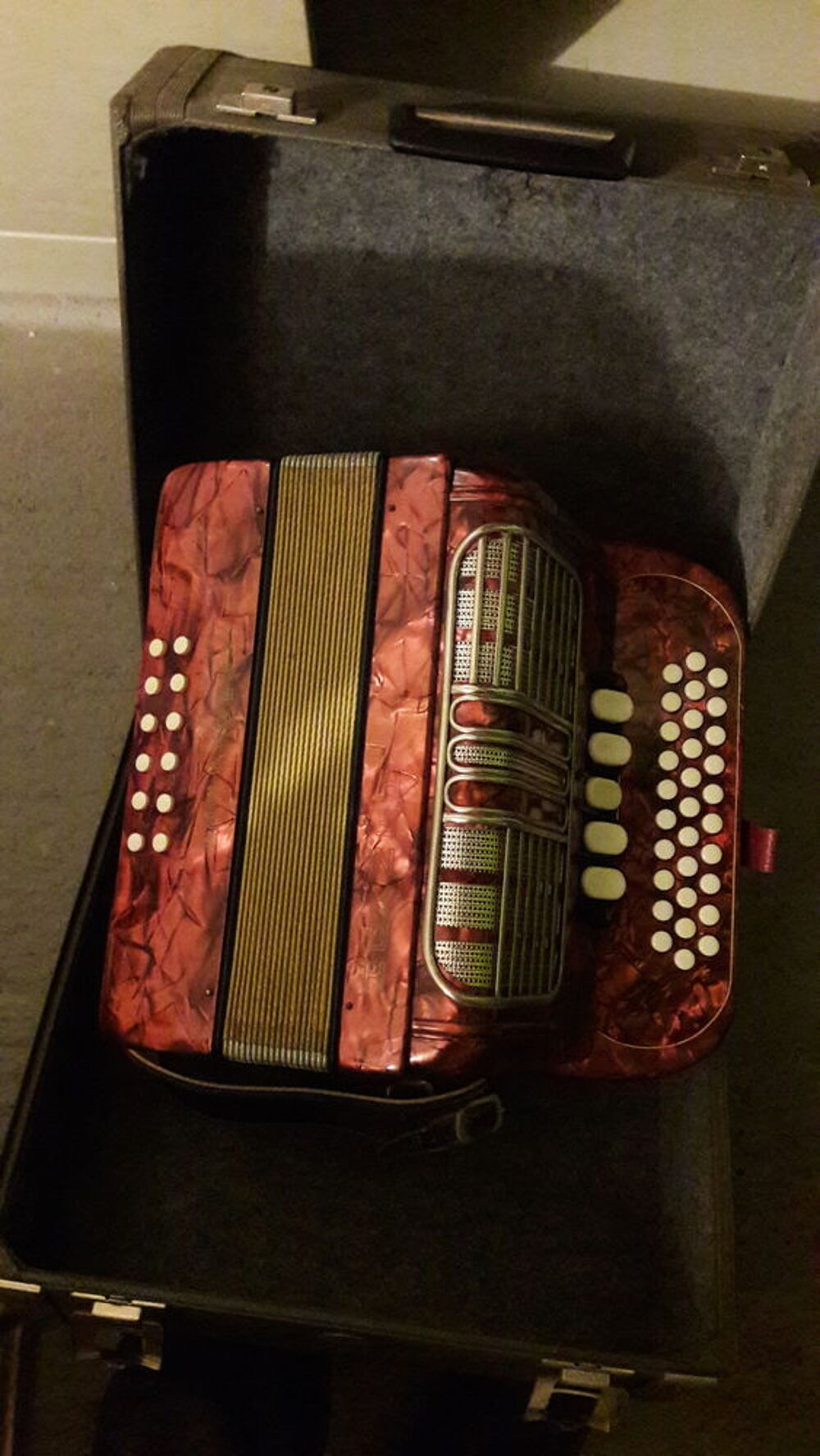 Accord&eacute;on &agrave; boutons Instruments de musique