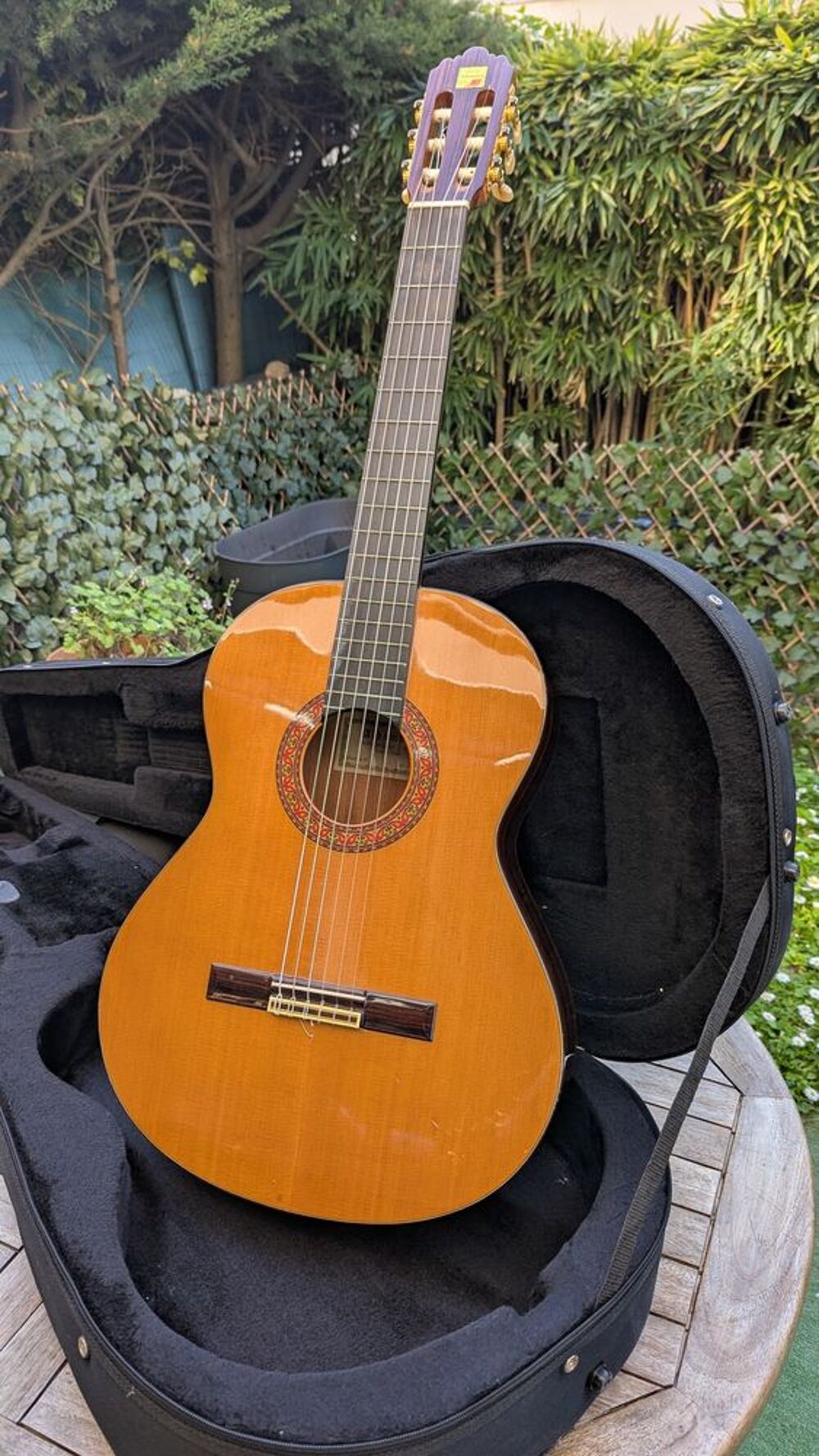 Guitare acoustique Alhambra dans son coffre de transport Instruments de musique