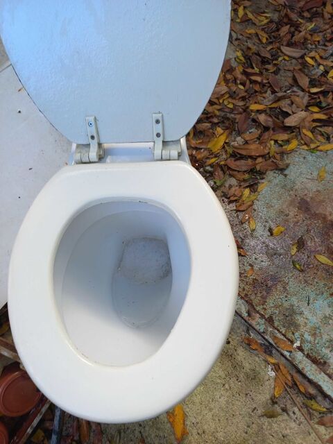 WC TOILETTE 5 Saint-Georges-de-Reintembault (35)