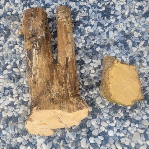 BOIS DE BUIS / BAMBOUS / NOYER Poitiers (86)
