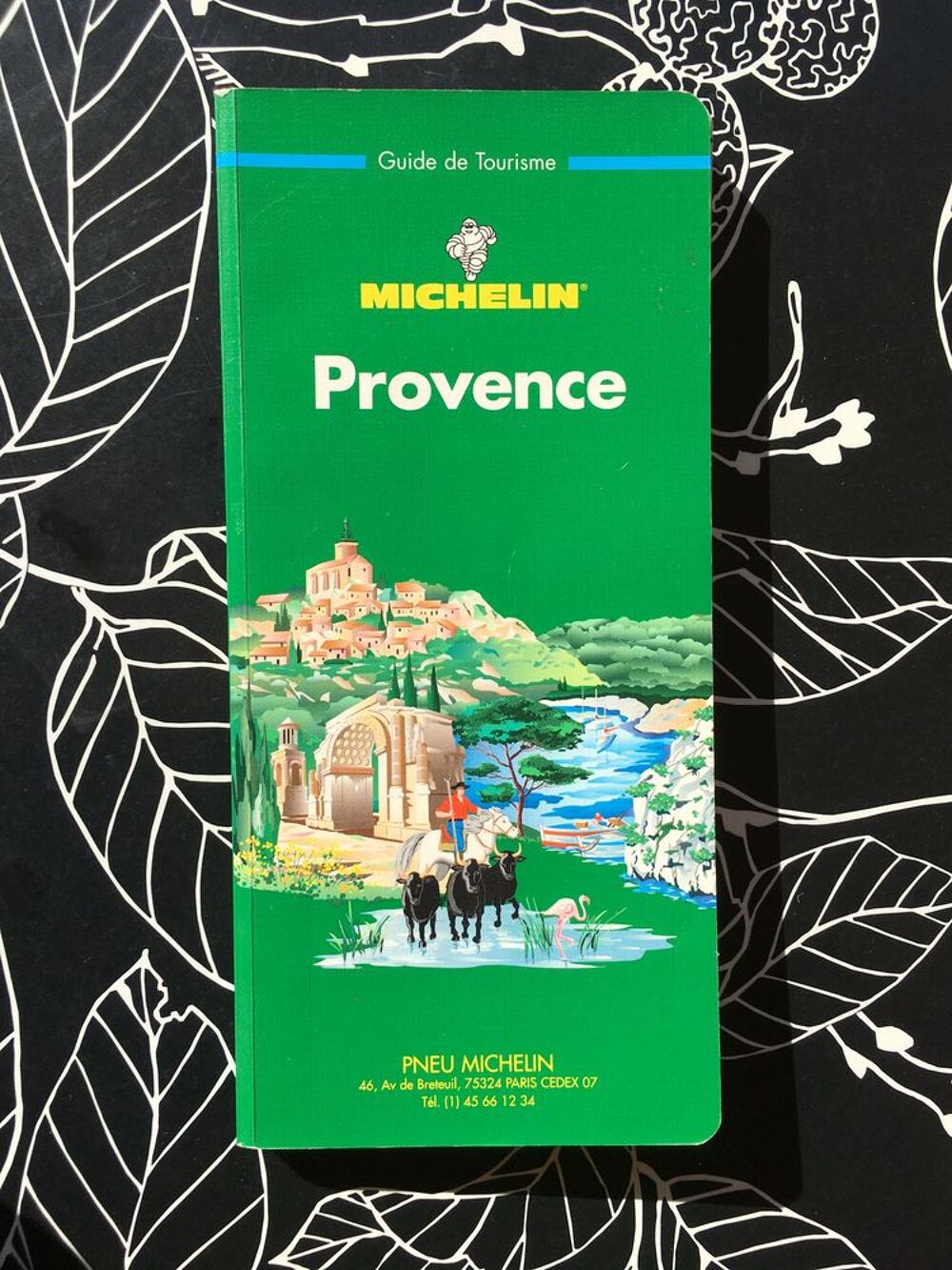 PROVENCE - Guide vert Michelin, 290 pages ; &Eacute;tat neuf Livres et BD