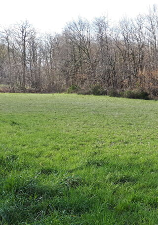  Terrain � vendre 10000 m�