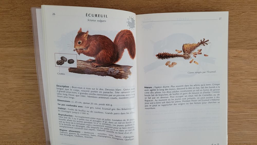 4 livres animaliers &eacute;l&eacute;phants, oiseaux, mammif&egrave;res, autres? Livres et BD