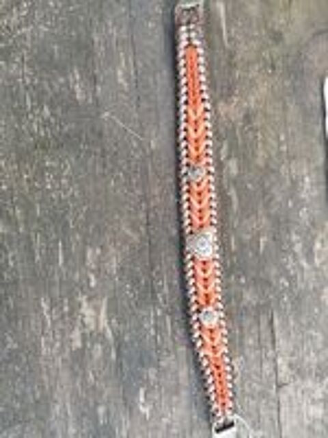   Collier pour Chien  
