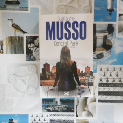 ROMAN CENTRAL PARK de Guillaume MUSSO 5 Bubry (56)