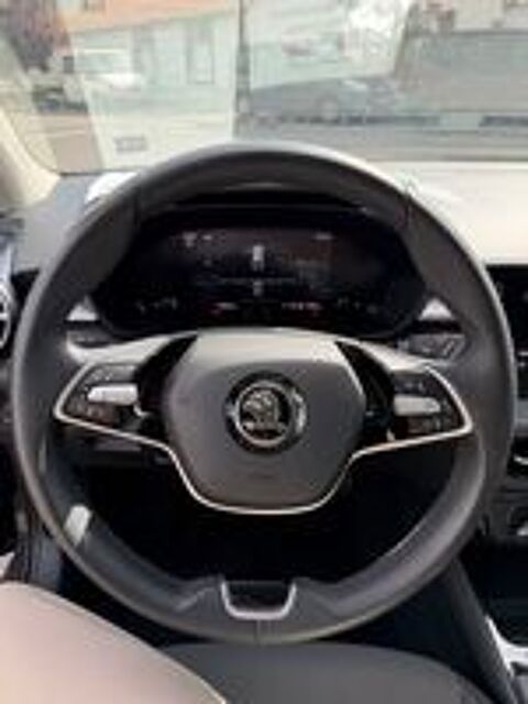 Fabia 1.0 TSI 95 ch EVO 2 BVM5 Selection 2024 occasion 40100 Dax