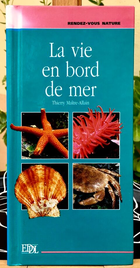 La vie en bord de mer ; Livre relié Neuf,  160 pages 3 L'Isle-Jourdain (32)