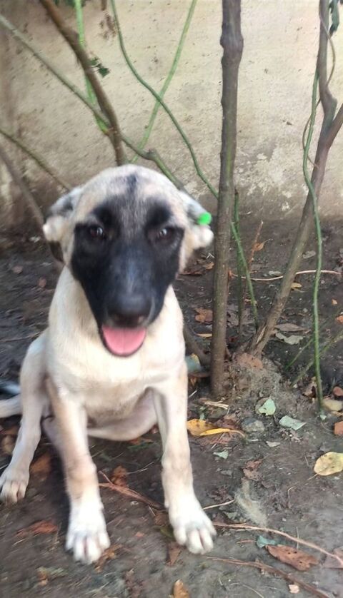 MOKA   actuellement en ukraine 0 75018 Paris