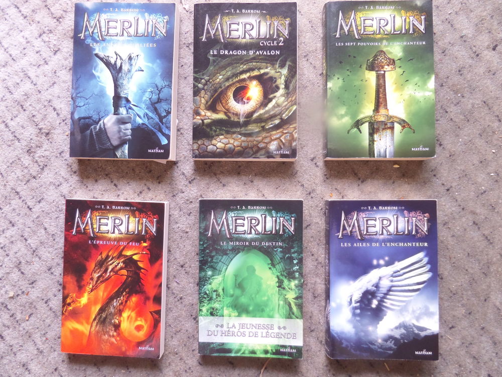 Merlin - cycle 2 Tome 1 : le dragon d'Avalon il y as 6 vol Livres et BD