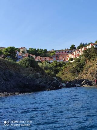 Location  Appartement 