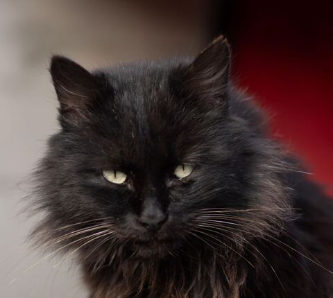 OREO 220 27620 Gasny