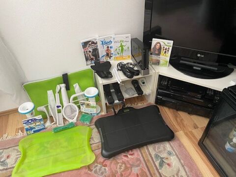 WiiFit Plus Nintendo 84 Schaffhouse-prs-Seltz (67)