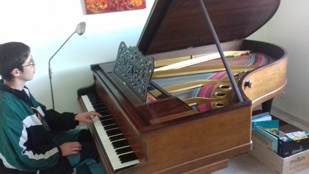 piano 1/2 queue Pleyel Instruments de musique