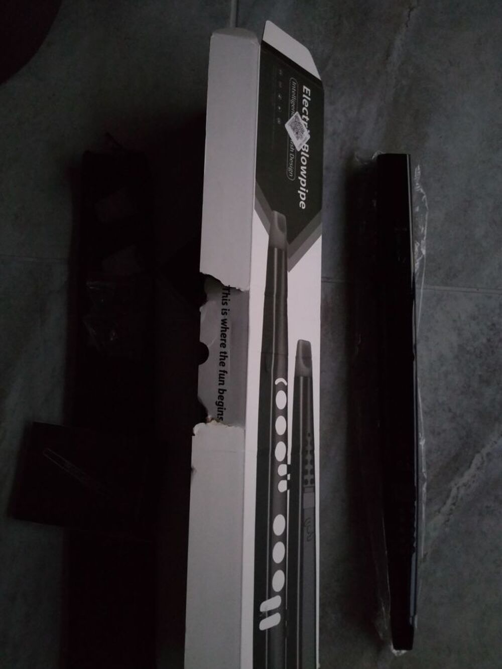 flute electronique chinoise type aerophone etat neuf Audio et hifi