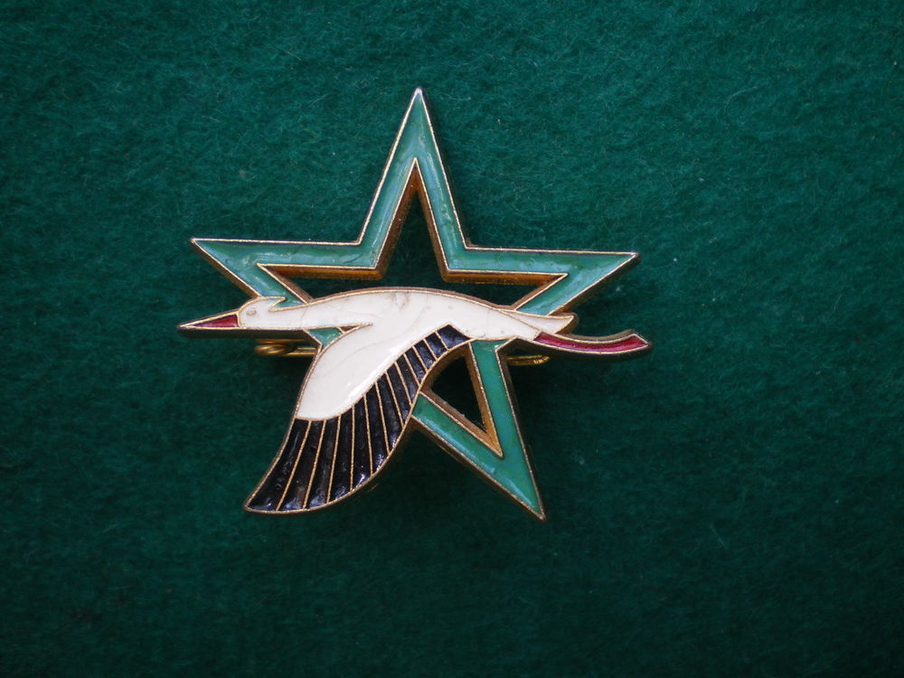 Insigne de l'Air - Base Ecole 705 Tours. 