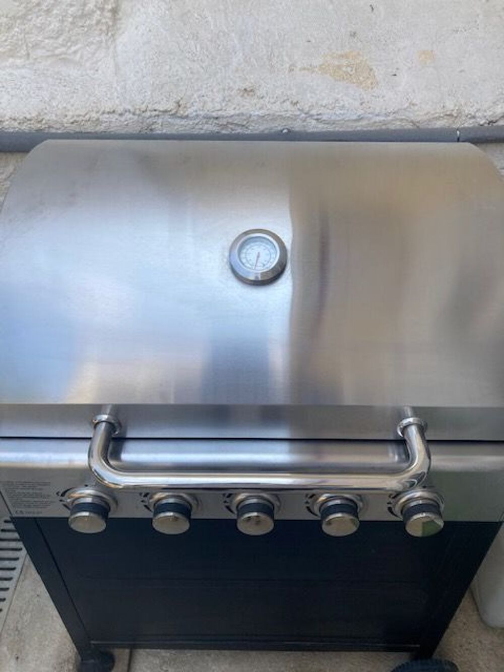 Barbecue a gaz Jardin