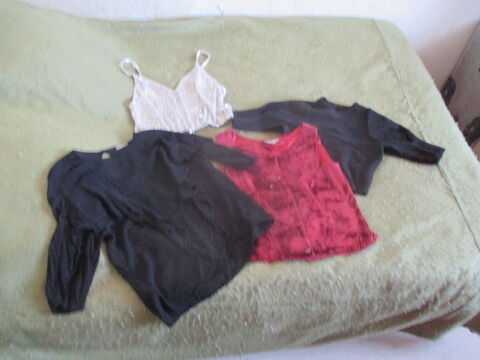 tee-shirt sans manche ou manches courtes ,  0 Talence (33)