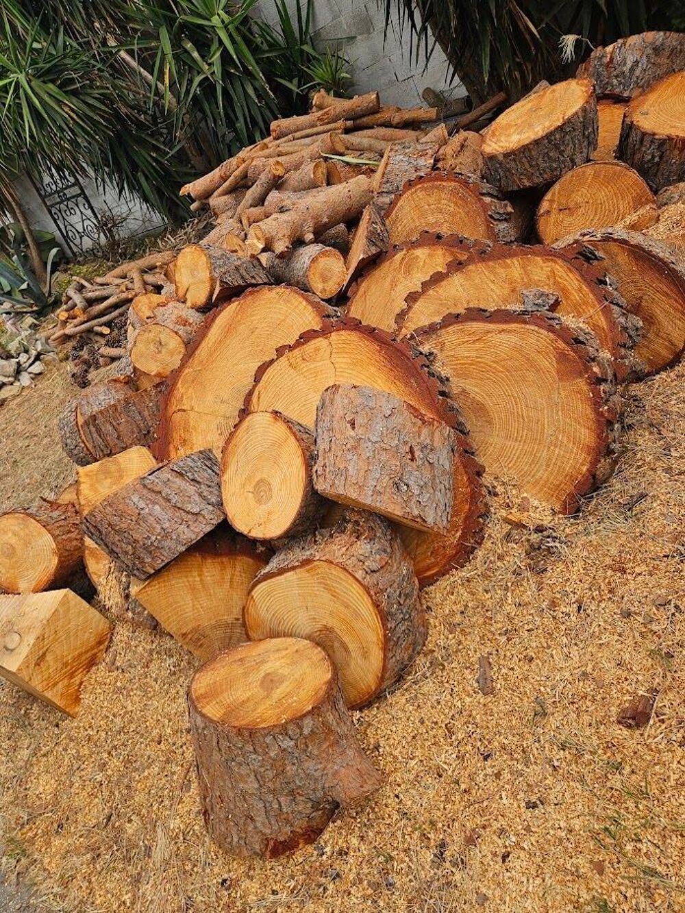 Bois de pin Bricolage