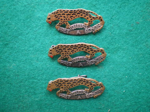 Insignes d'Infanterie - 119� R�giment d'Infanterie. 76 Caen (14)