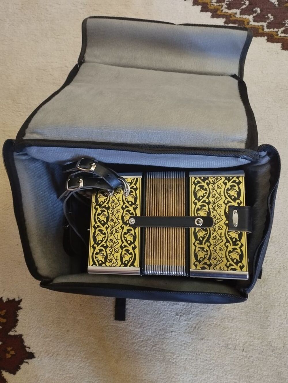 Accord&eacute;on diatonique Sol/Do Hohner 2915 Instruments de musique