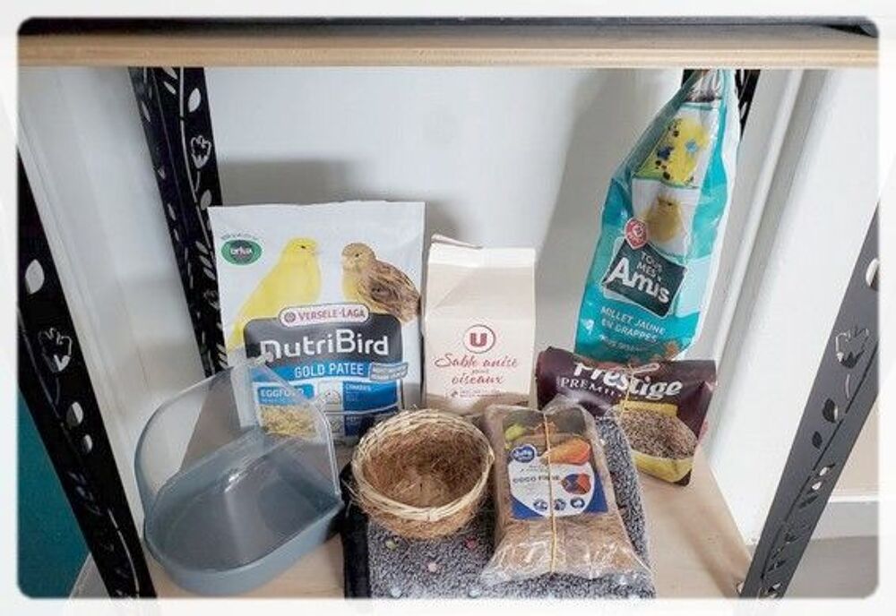 Cage &agrave; oiseaux sur pieds + accessoires + nourriture Meubles