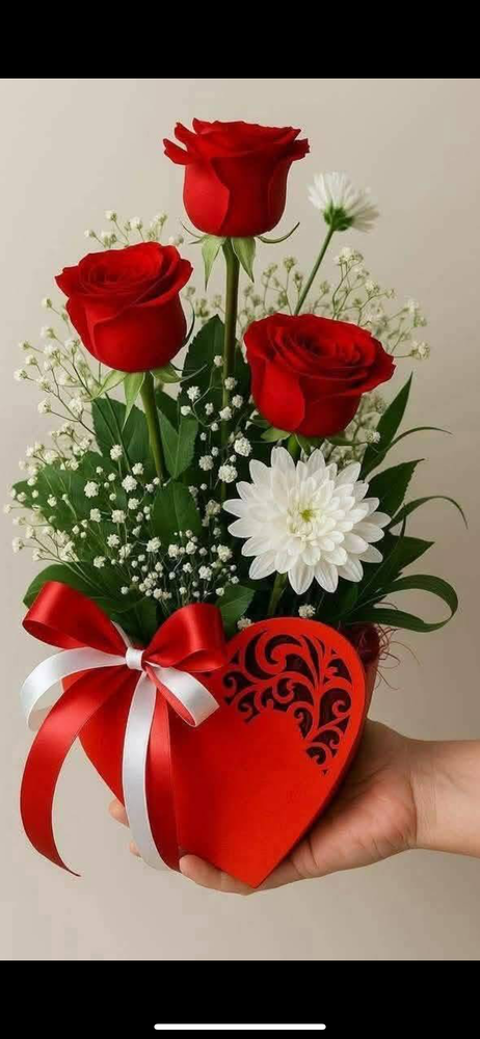 Bonjour je suis auxiliaire de vie 0 06300 Nice