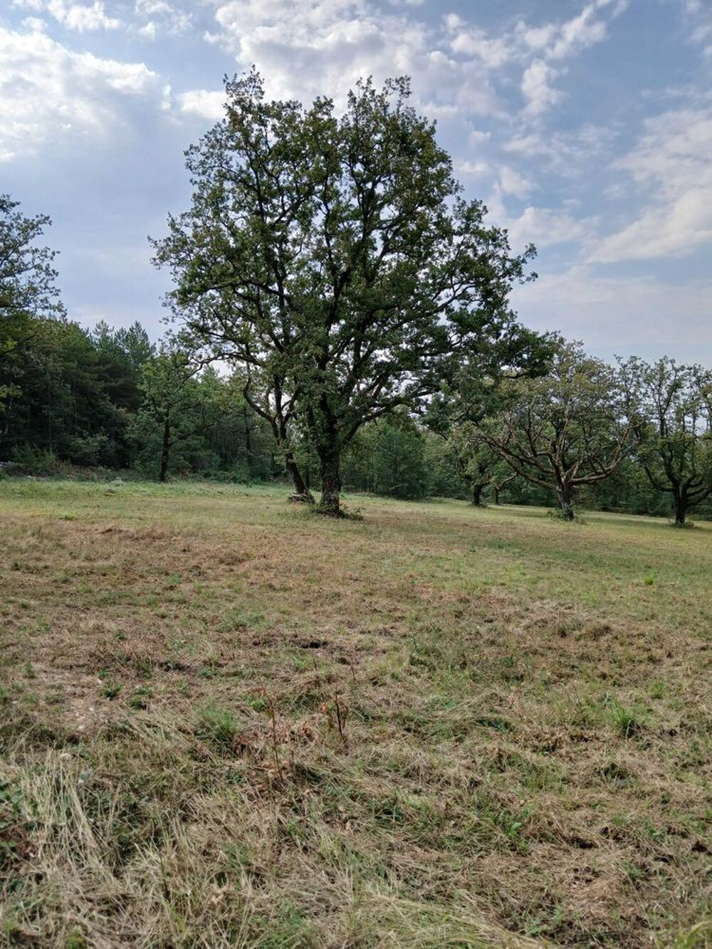 Vente Terrain terrain constructible viabilisé 1851 m2 Montgesty
