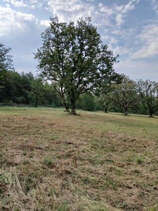  Terrain à vendre 1851 m²