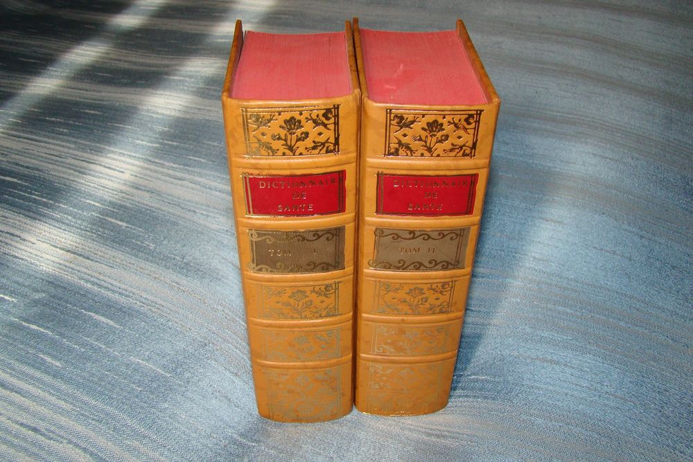 Dictionnaire portatif de sant&eacute; (fac simil&eacute; de 1761) Livres et BD