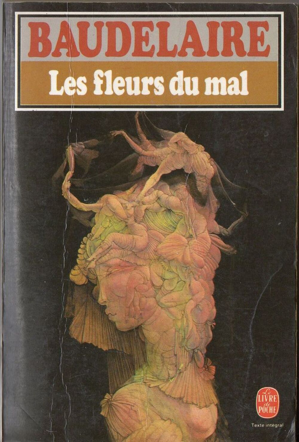 Les fleurs du mal - Charles Baudelaire Livres et BD