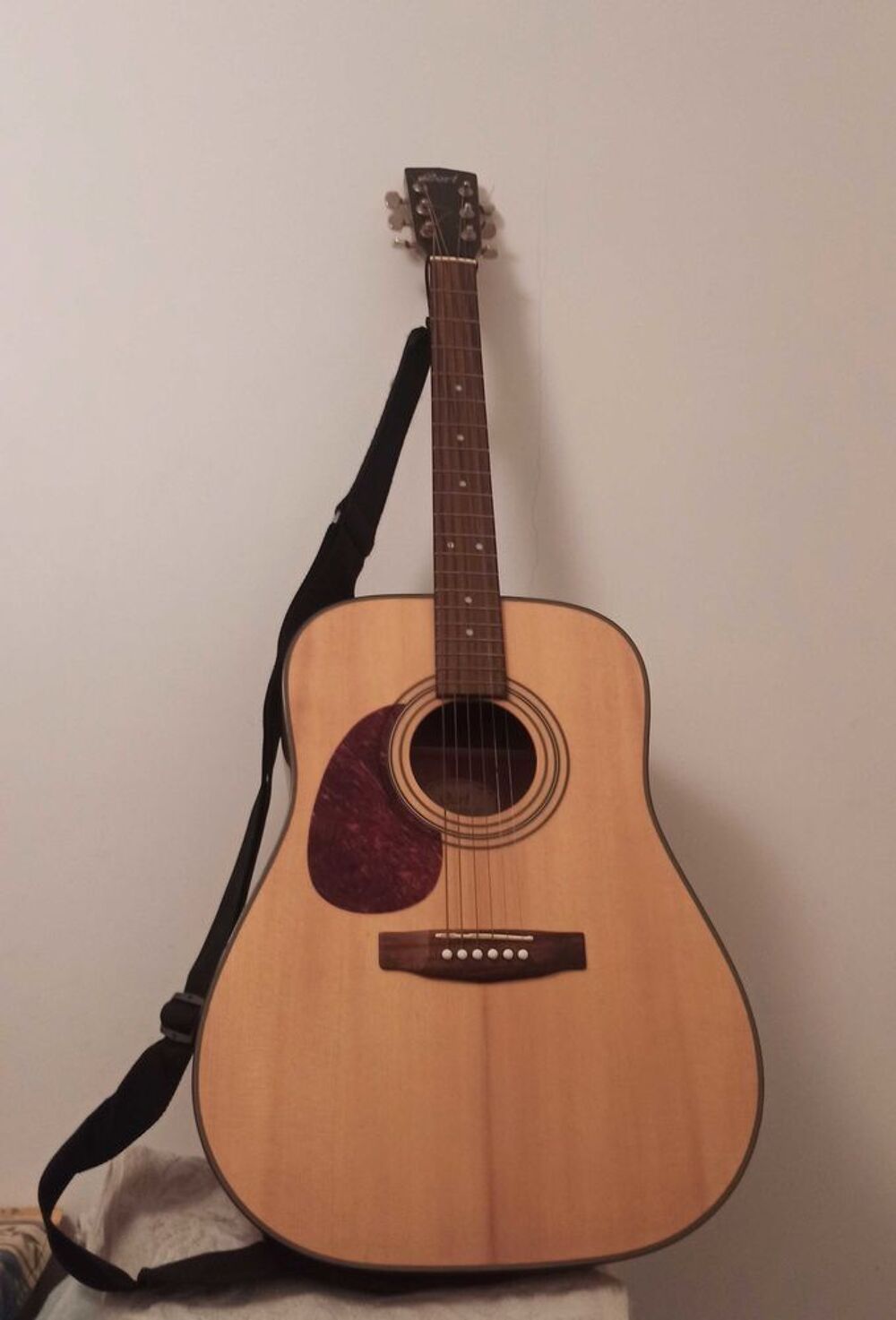 guitare cort Instruments de musique