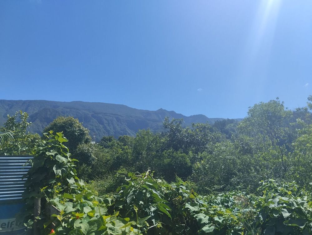 Vente Maison Exclusivité ORPI - Chalet bois T2 aux Makes La réunion