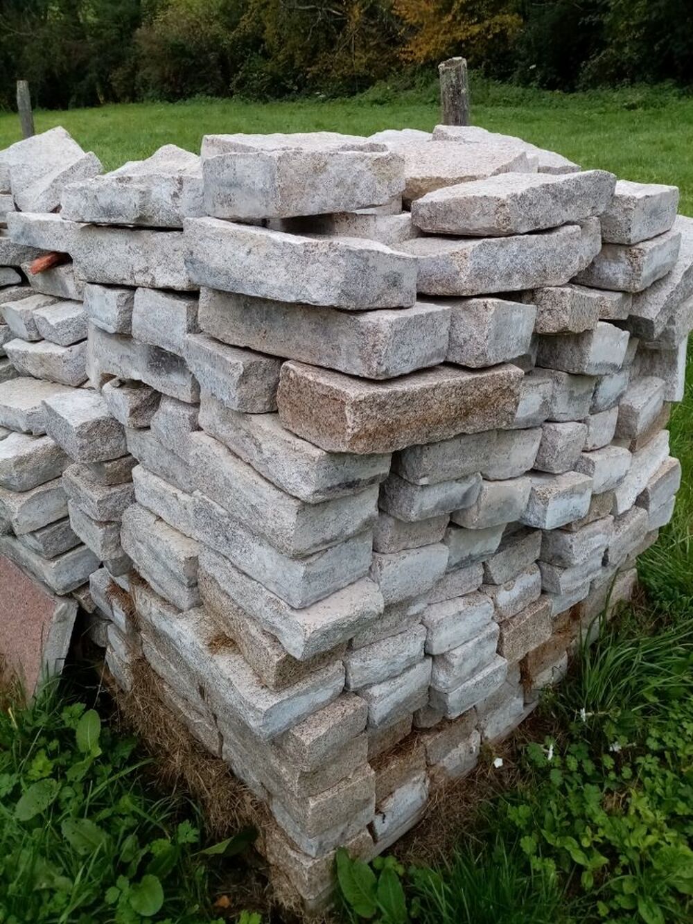 Bordure et pav&eacute;s en GRANIT. Jardin