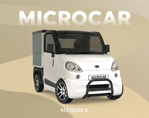 MICROCAR Voiture sans permis  occasion Boissy-Saint-Léger 94470