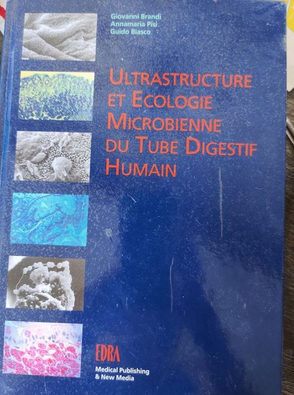 livre ultrastructure et &eacute;cologie microbienne du tube digesti Livres et BD