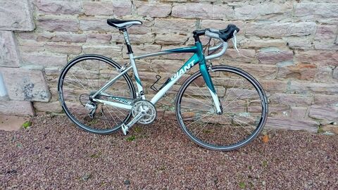 Vlo de course Giant 250 Montenay (53)