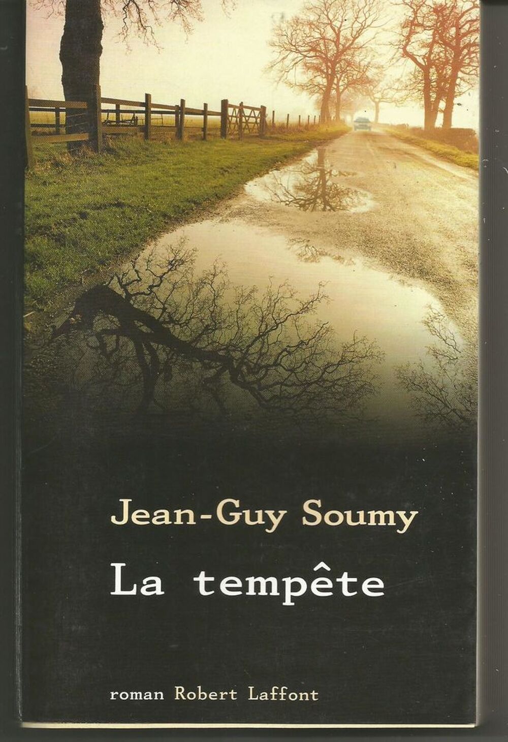 Jean Guy SOUMY La temp&ecirc;te Livres et BD