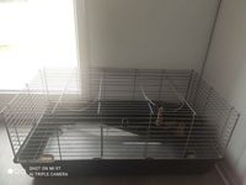  Cage pour lapin  
