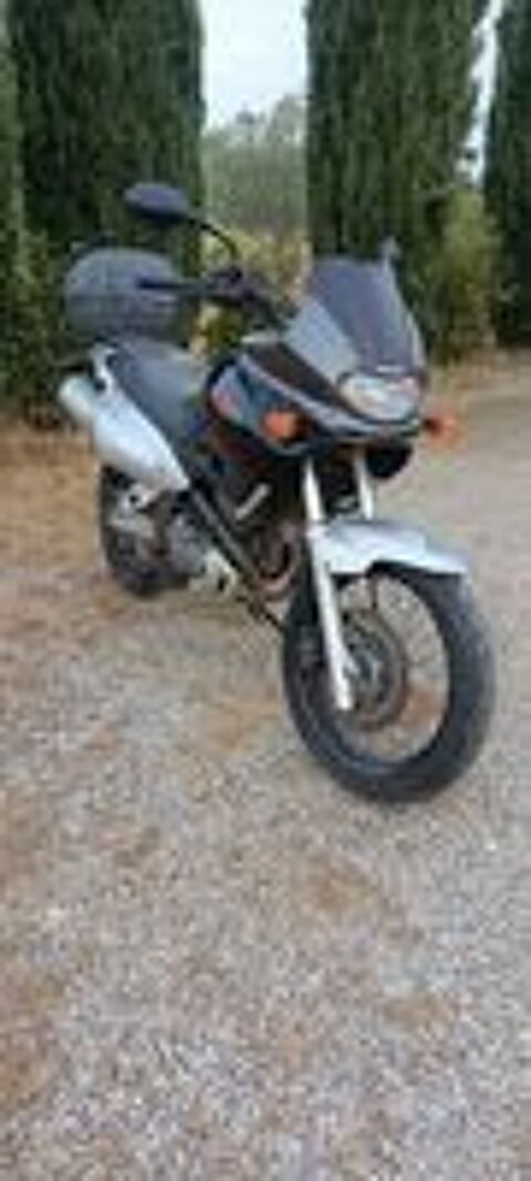 SUZUKI 1999 occasion 34150 Montpeyroux