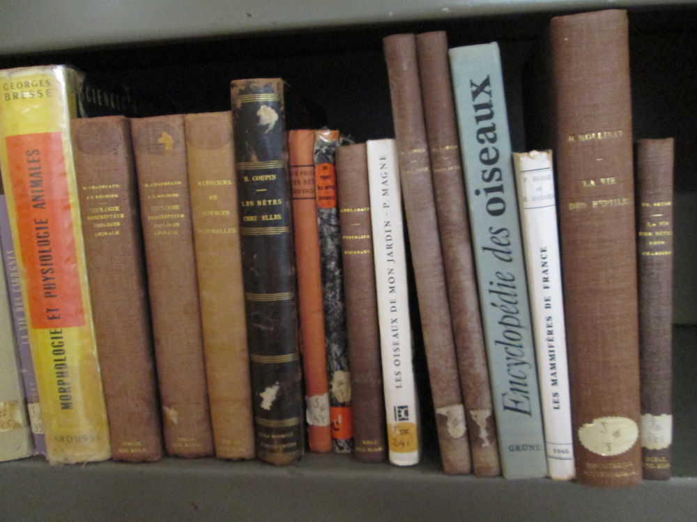 Livres anciens faune, animaux Livres et BD