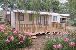 Location  Mobile Home 