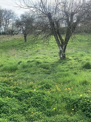  Terrain  vendre 3000 m