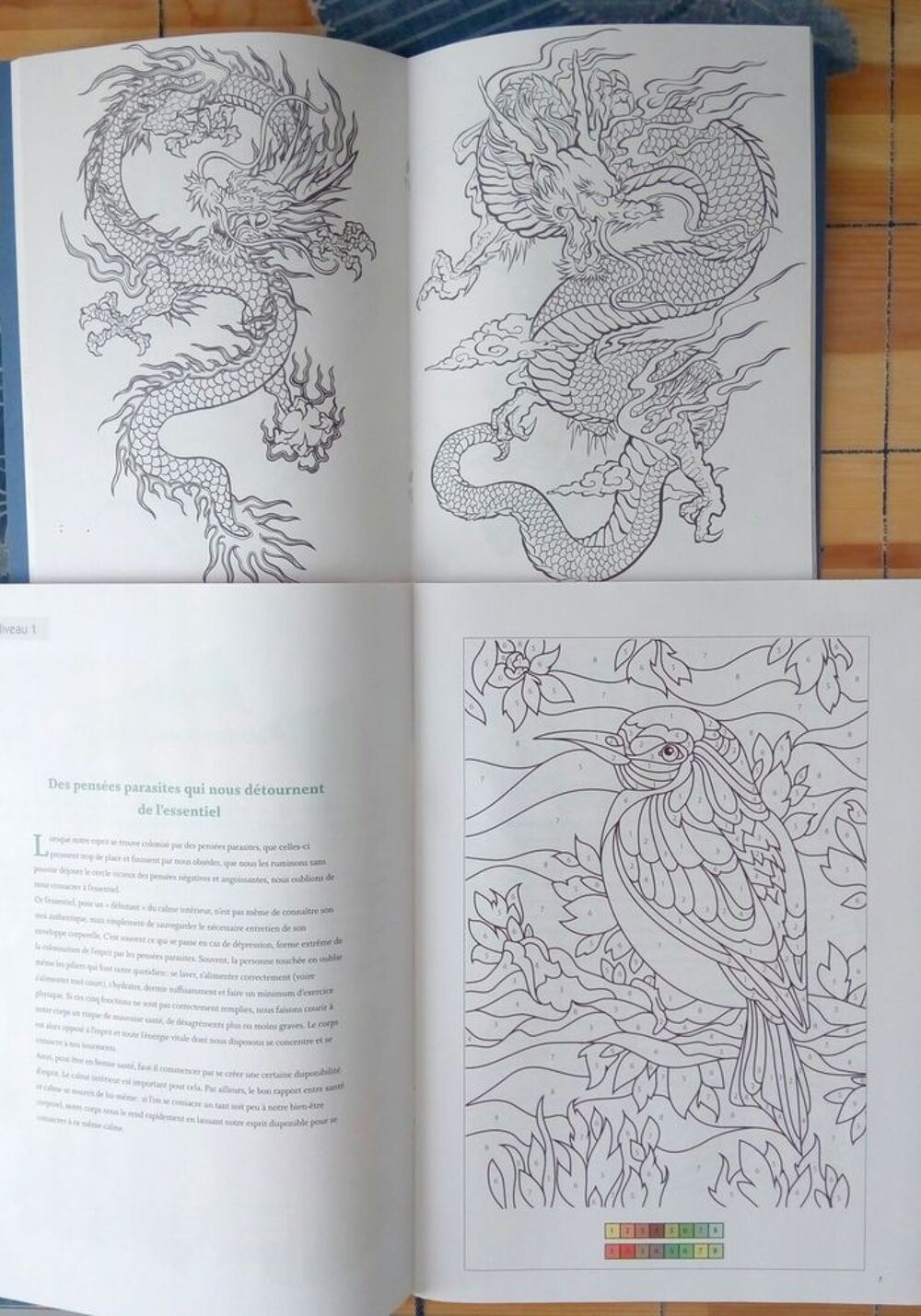 Cahiers de coloriages Livres et BD